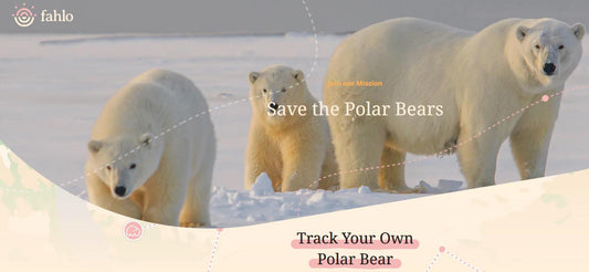 Polar Bear Tracking Bracelet